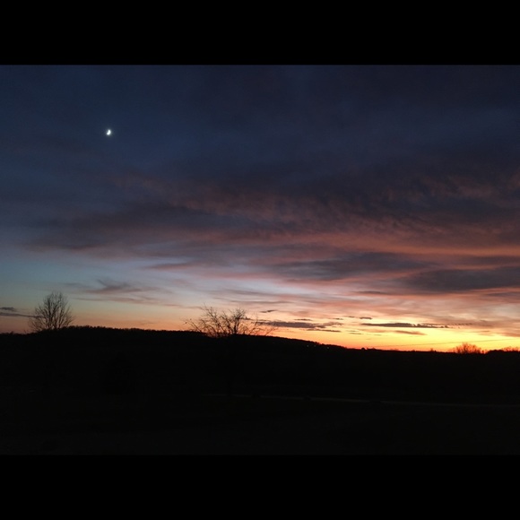 Meet your Posher, Southern_Fields - Picture 2 of 2